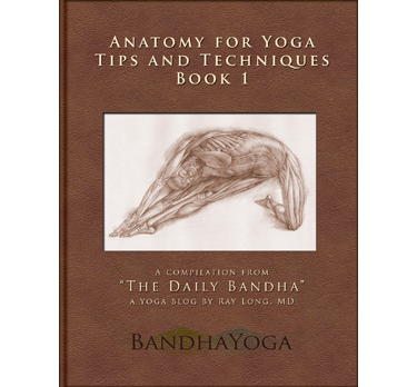 key muscles of hatha yoga book