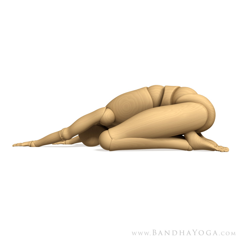 Child's Pose - This image is from 'Anatomy for Hip Openers and Forward Bends' in the 'Yoga Mat Companion' Series