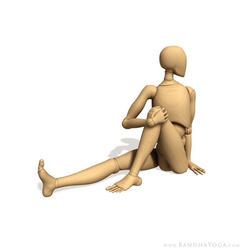 <strong>Marichyasana III</strong> - This image is from the book <em>Anatomy for Backbends and Twists</em>. #3 in the <em>Yoga Mat Companion</em> series.